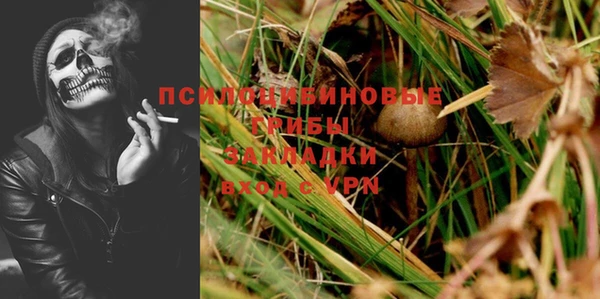 spice Абаза